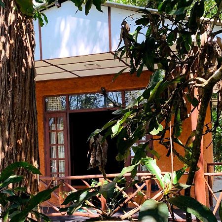 The Nirwana Cottage เอลลา ภายนอก รูปภาพ