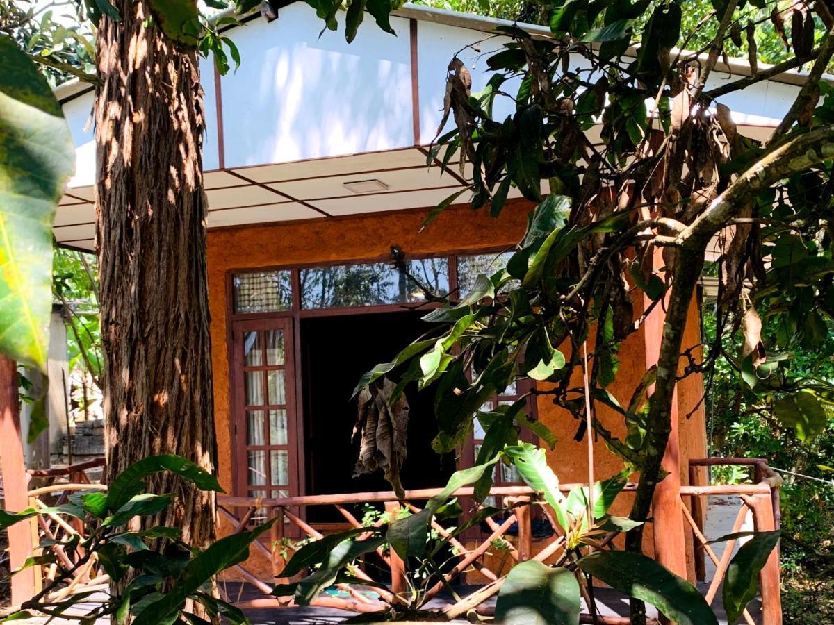 The Nirwana Cottage เอลลา ภายนอก รูปภาพ
