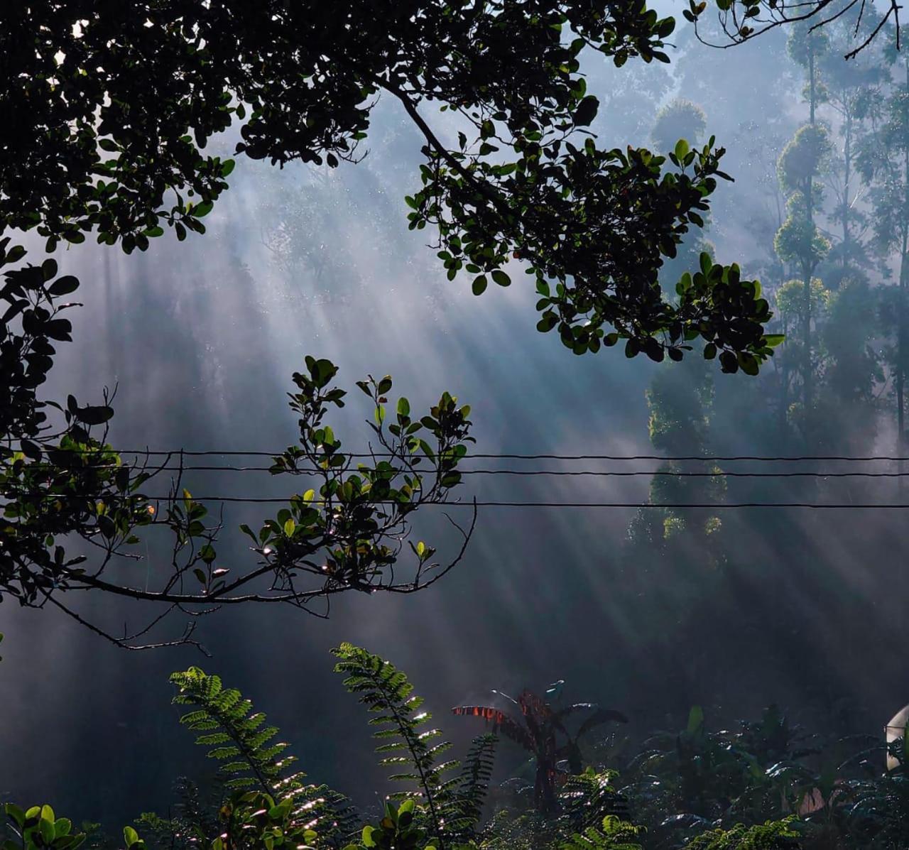 The Nirwana Cottage เอลลา ภายนอก รูปภาพ